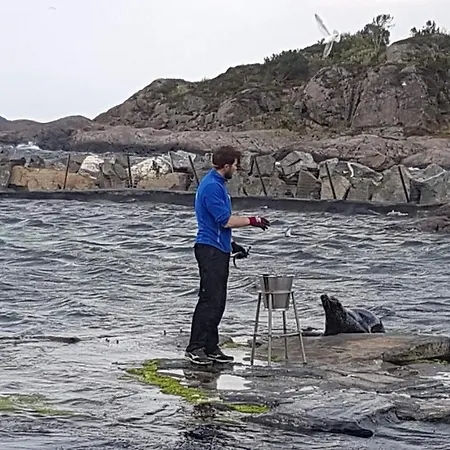 Alesund شقة *